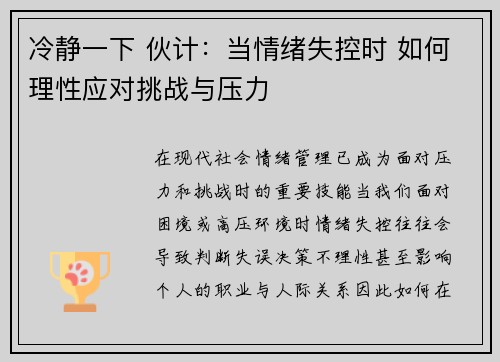 冷静一下 伙计：当情绪失控时 如何理性应对挑战与压力